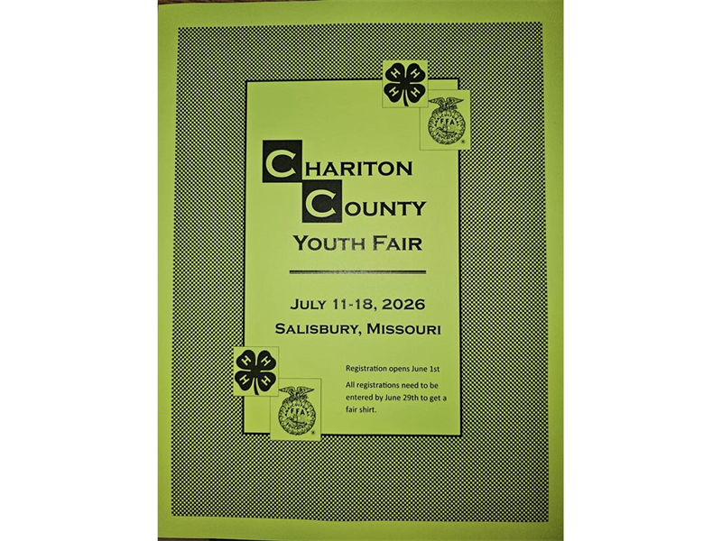 Fair Logo
